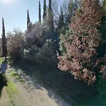 Santa Maria Gospodarstwo agroturystyczne *