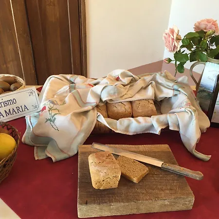 Santa Maria Vakantieboerderij