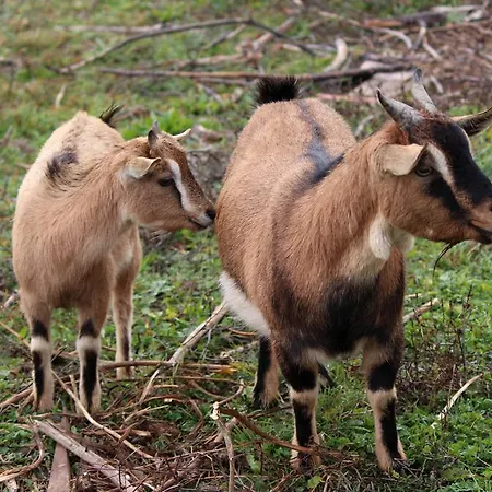 Vakantieboerderij Santa Maria