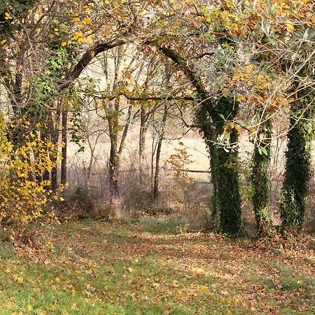 Santa Maria Vakantieboerderij *